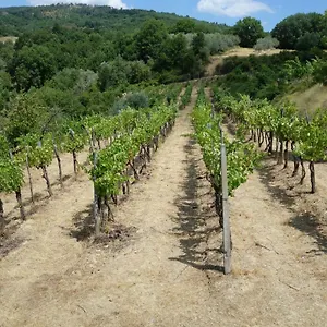 La Collina Di Piero Sansepolcro