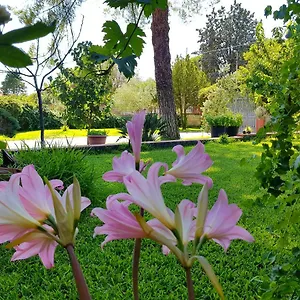 https://beb-welcome.sicilyhotelsitaly.net